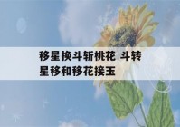 移星换斗斩桃花 斗转星移和移花接玉