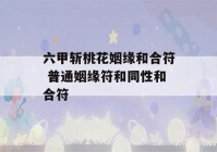 六甲斩桃花姻缘和合符 普通姻缘符和同性和合符