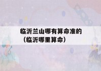 临沂兰山哪有看八字准的（临沂哪里看八字）