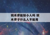 桃木斧能斩小人吗 桃木斧子什么人不能用