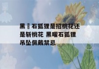 黑矅石狐狸是招桃花还是斩桃花 黑曜石狐狸吊坠佩戴禁忌