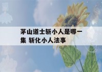 茅山道士斩小人是哪一集 斩化小人法事