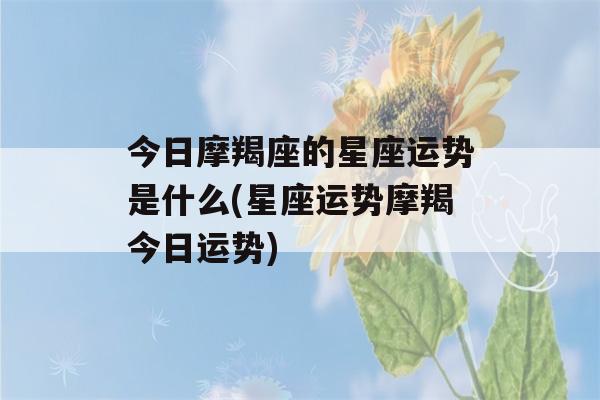 今日摩羯座的星座运势是什么(星座运势摩羯今日运势)