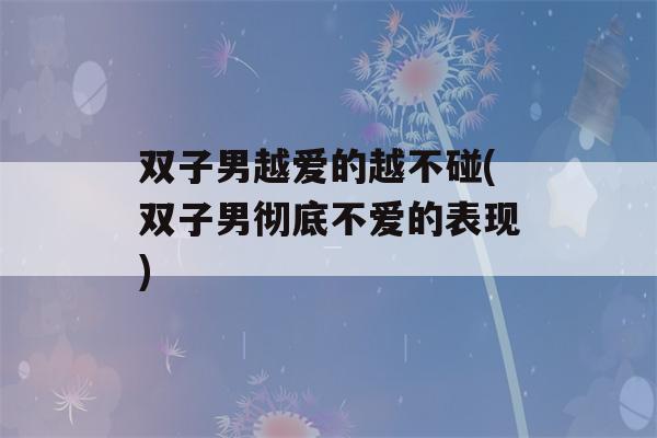 双子男越爱的越不碰(双子男彻底不爱的表现)