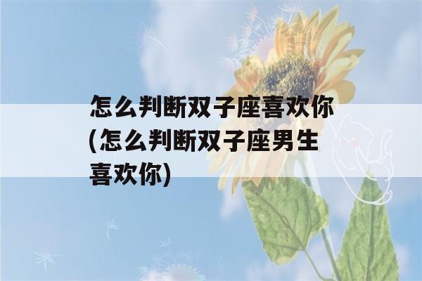 怎么判断双子座喜欢你(怎么判断双子座男生喜欢你)