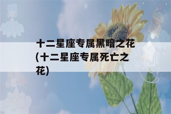 十二星座专属黑暗之花(十二星座专属死亡之花)