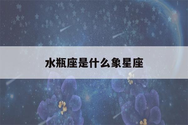 水瓶座是什么象星座