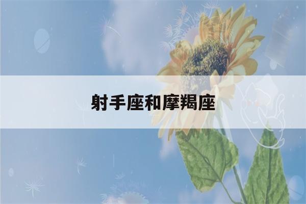 射手座和摩羯座