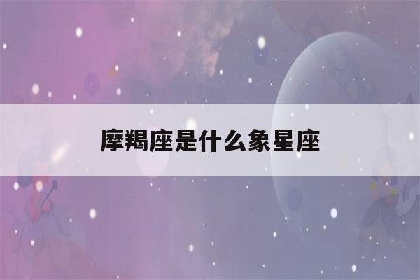 摩羯座是什么象星座