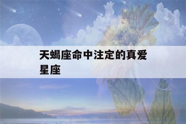 天蝎座命中注定的真爱星座