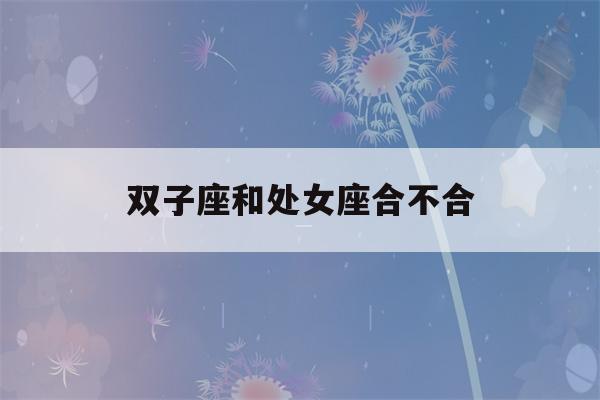 双子座和处女座合不合