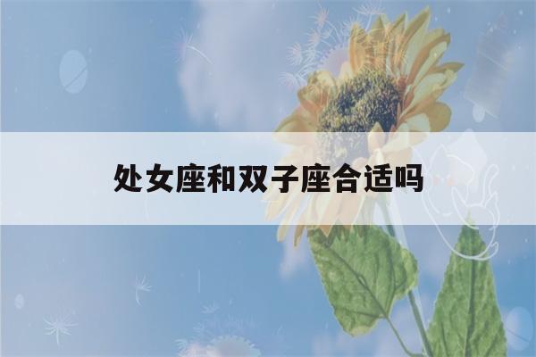 处女座和双子座合适吗