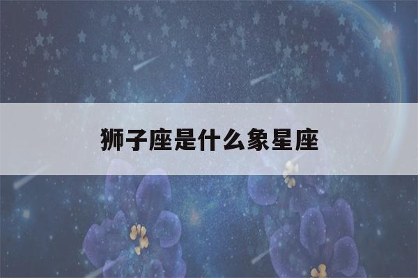 狮子座是什么象星座