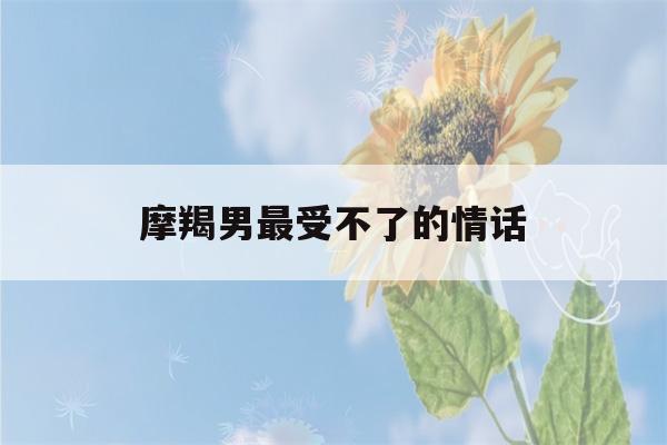 摩羯男最受不了的情话