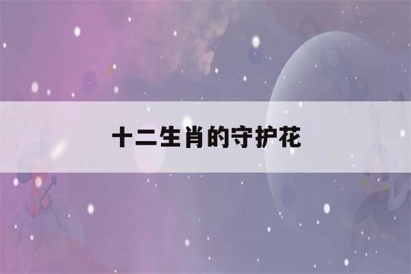 十二生肖的守护花