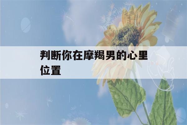 判断你在摩羯男的心里位置