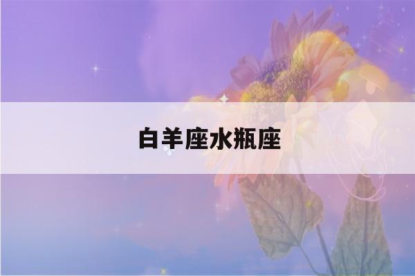 白羊座水瓶座