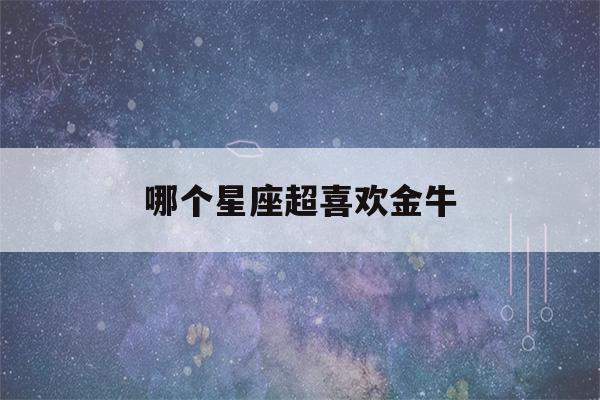 哪个星座超喜欢金牛