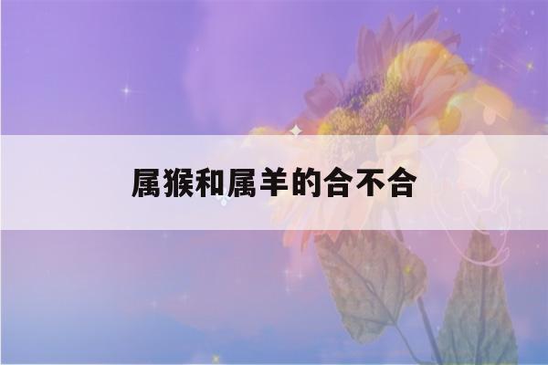 属猴和属羊的合不合