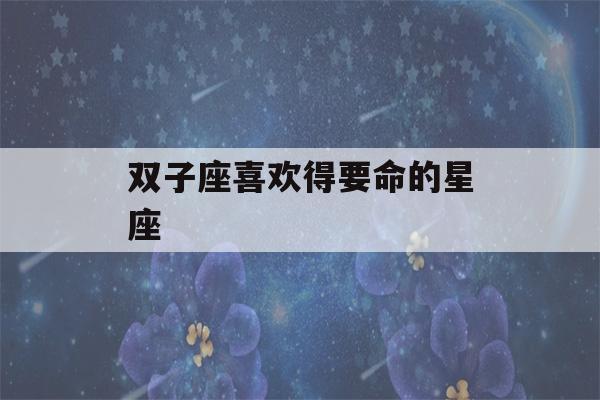 双子座喜欢得要命的星座