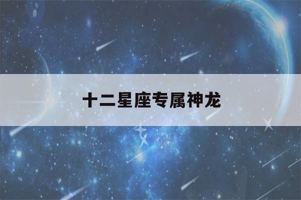 十二星座专属神龙