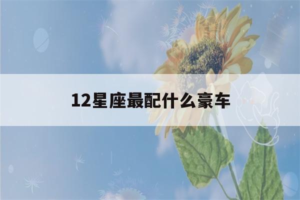 12星座最配什么豪车