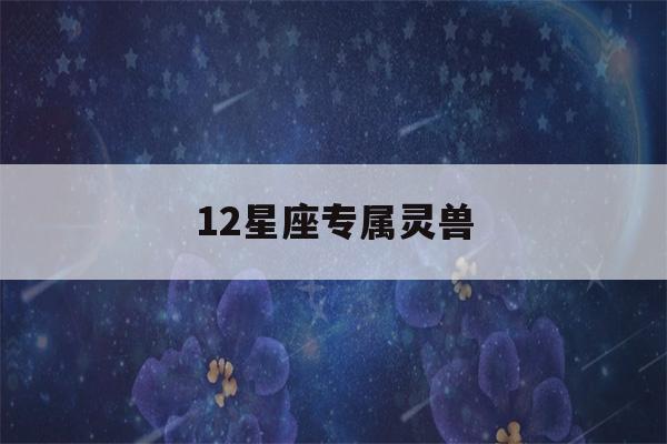 12星座专属灵兽