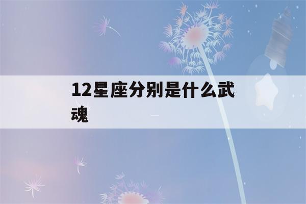 12星座分别是什么武魂