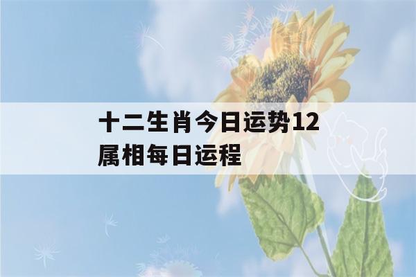 十二生肖今日运势12属相每日运程