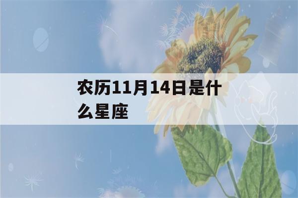 农历11月14日是什么星座