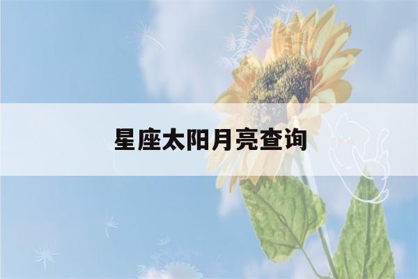 星座太阳月亮查询