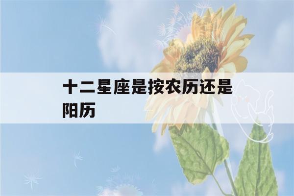 十二星座是按农历还是阳历