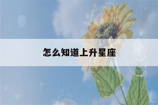 怎么知道上升星座