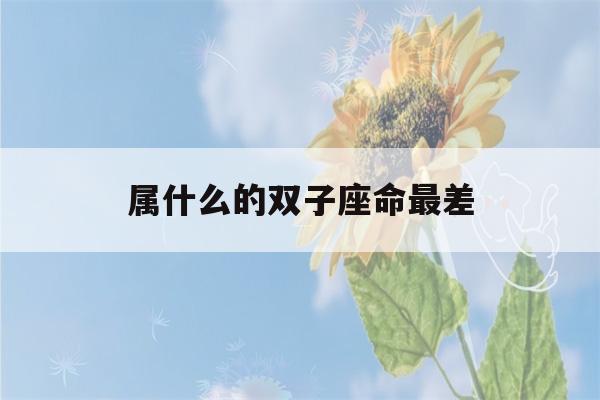 属什么的双子座命最差