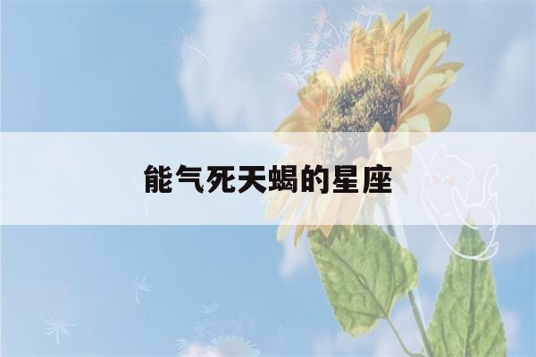 能气死天蝎的星座