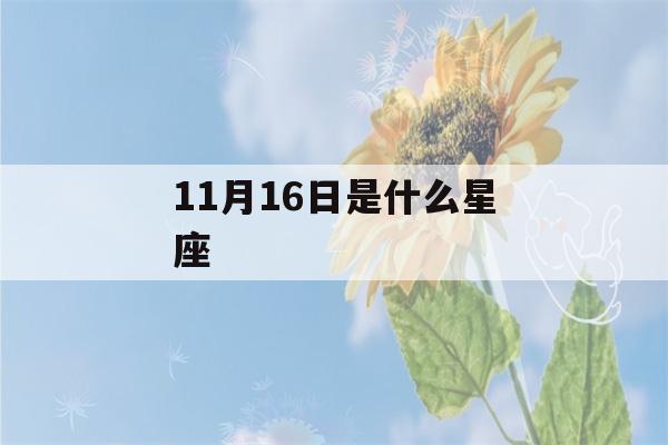 11月16日是什么星座