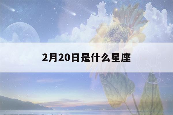 2月20日是什么星座