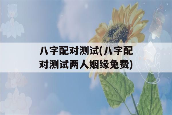 八字配对测试(八字配对测试两人姻缘免费)