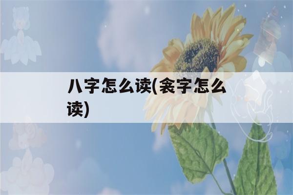 八字怎么读(衾字怎么读)