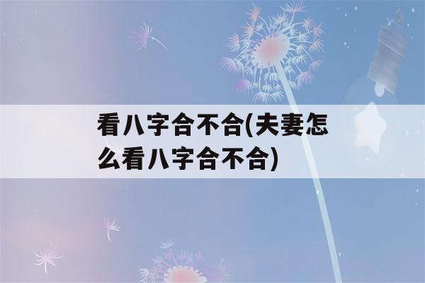 看八字合不合(夫妻怎么看八字合不合)