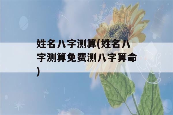 姓名八字测算(姓名八字测算免费测八字看八字)