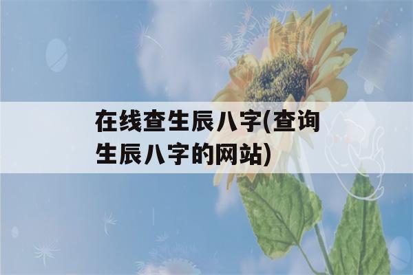 在线查生辰八字(查询生辰八字的网站)