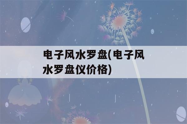 电子风水罗盘(电子风水罗盘仪价格)