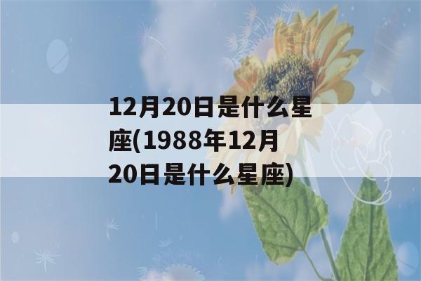 12月20日是什么星座(1988年12月20日是什么星座)