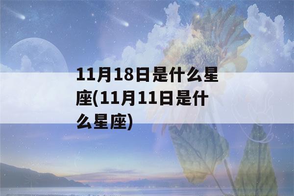 11月18日是什么星座(11月11日是什么星座)