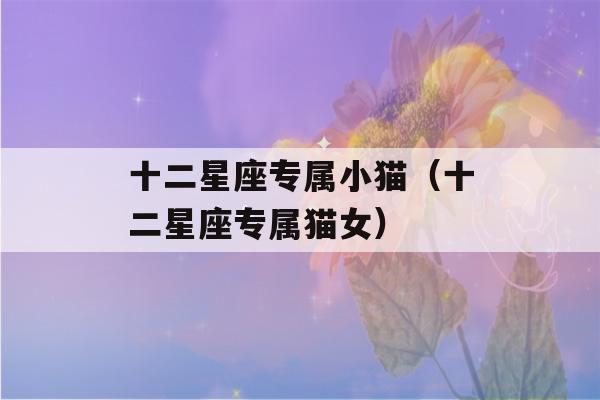 十二星座专属小猫（十二星座专属猫女）