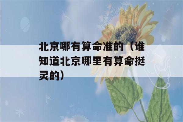 北京哪有看八字准的（谁知道北京哪里有看八字挺灵的）