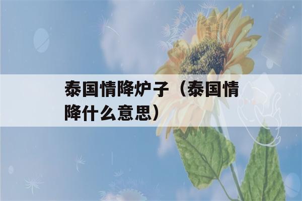 泰国情降炉子（泰国情降什么意思）