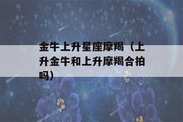 金牛上升星座摩羯（上升金牛和上升摩羯合拍吗）