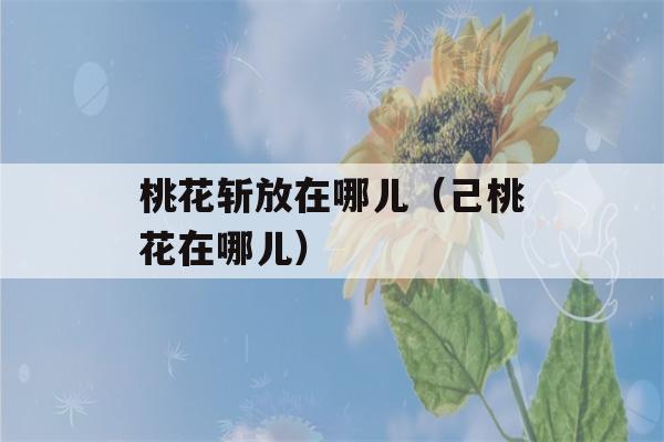 桃花斩放在哪儿（己桃花在哪儿）